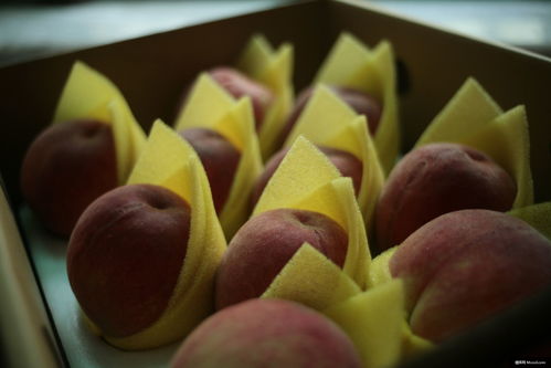 自然之禮 桃、蘋果與覆盆子的美食攝影魅力