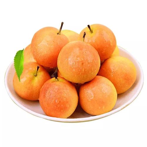 哈爾濱潤恒城果品市場(chǎng)